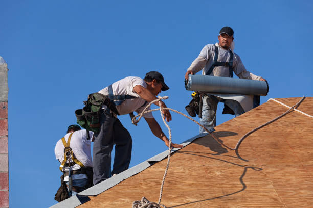 Best Emergency Roof Repair  in Daisetta, TX