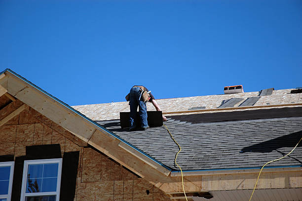 Best Storm Damage Roof Repair  in Daisetta, TX