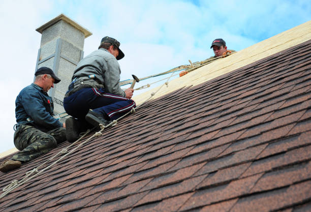 Best Roof Gutter Cleaning  in Daisetta, TX